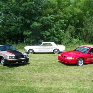 Meet your Posher, David